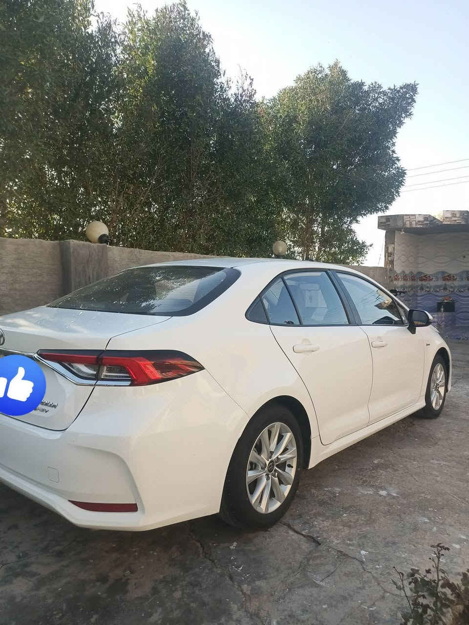 كورلا 2024 هايبرد شكل خليجي مكفوله كفاله عامه فول مواصفات ماشيه 30 حقيقي رقم بغداد مشروع وطني هزه سنويه جديده كير محرك صدر تبريد عل وضع الشركه السعر 147 وبيه مجال مكان سياره الانبار الكرمه ***********
