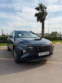 توسان خليجي 2023 ماشي 52 كيلو  رصعتين فقط باقي مكفول  بغداد  السعر 198...