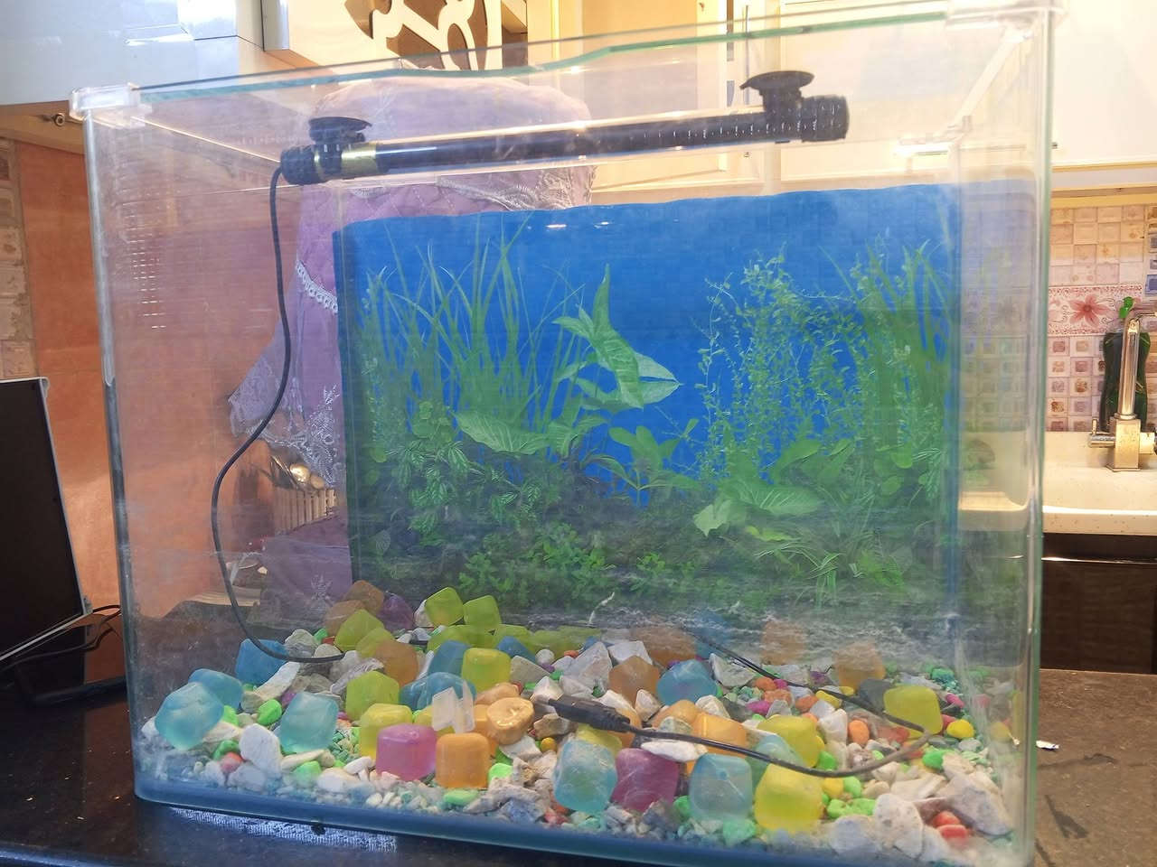 حوض سمك كامل من كلشي سعره 25 الف مكاني بل الحبيبيه رقم الموبايل ***********
