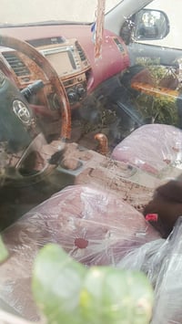 فلاونزه • ٢٠١٤ • كفالة عامه