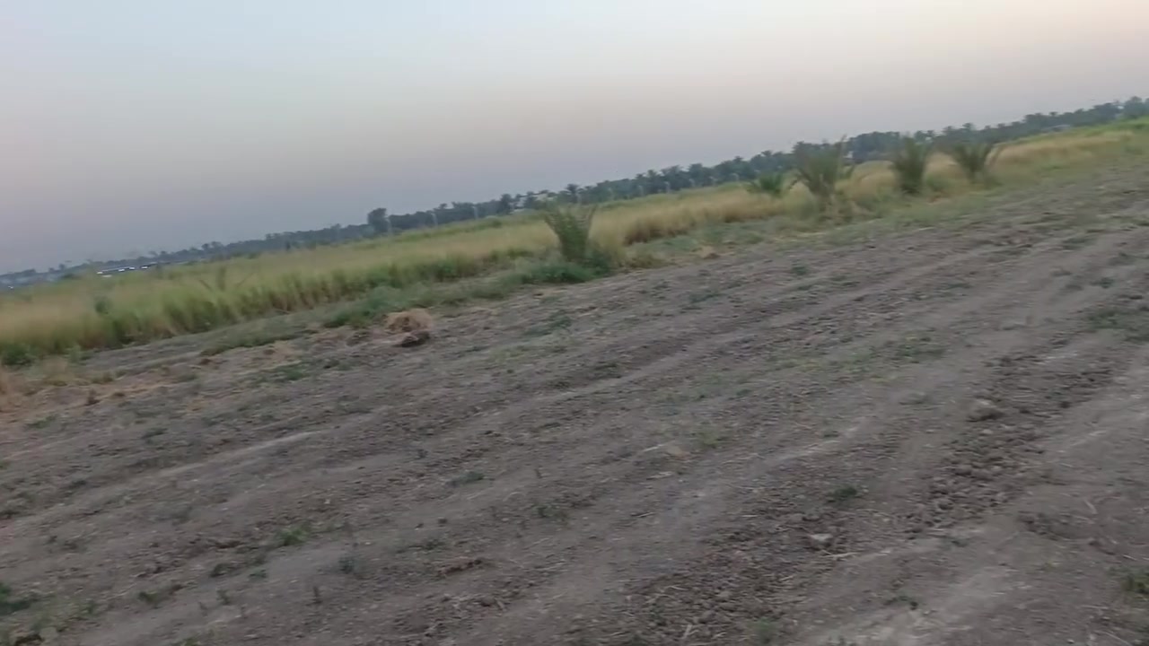يالله توكلنا على الله
دونم للبيع طابو زراعي سند ٢٥ 
للاستفسار 
الاتصال على الأرقام التاليه 
***********  آسيا 

***********  أثير 

((  ***********)) هذا👉 فقط وات ساب وبخدمتكم
