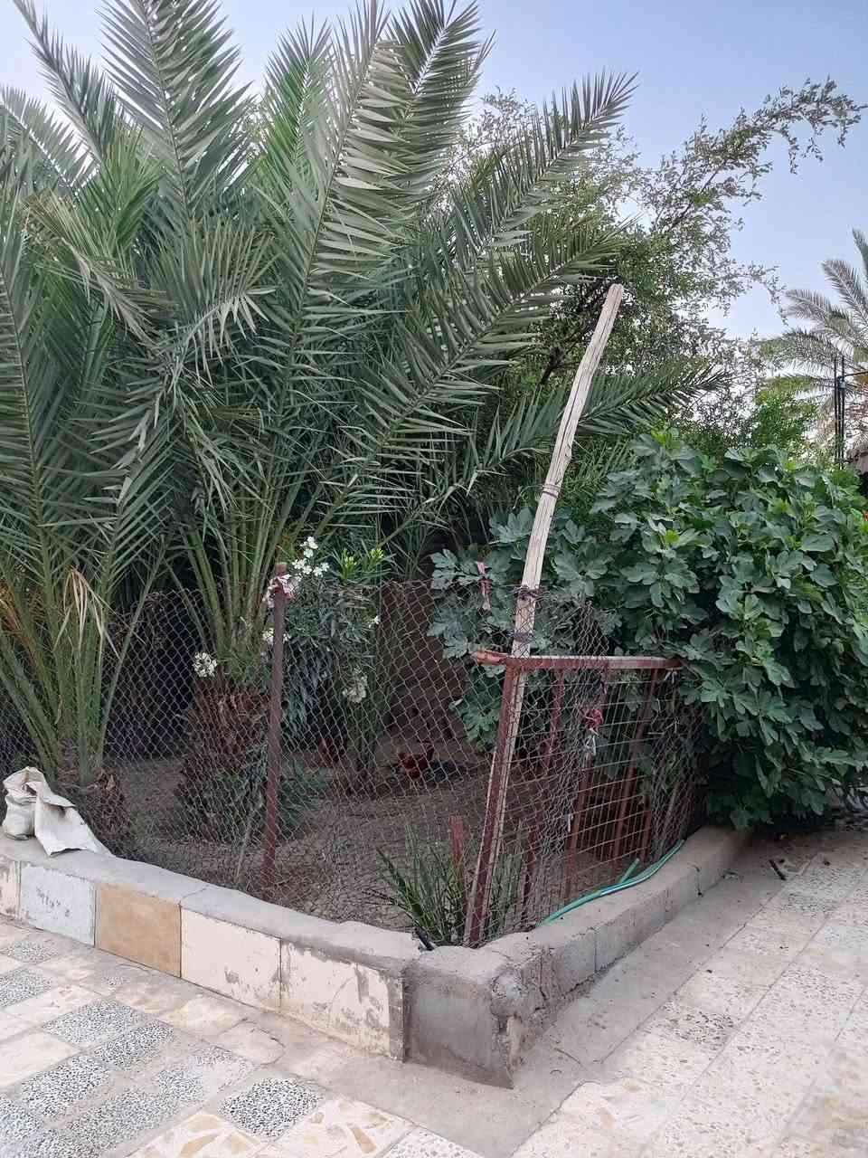 ∆∆بيت البيع ∆∆
حي الحكيم الاولى قرب مدرسه الثعالبي 
يتكون البيت من صاله
 و3غرف
 وديوانيه 
ومطبخ حار +بارد 
وصحيات 
موجود كافه الخدمات 
مساحه البيت 700م
الاستفسار اكثر 
 السعر خاص او رقم الهااتف 
***********
