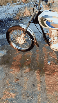 كلك سبرنجة • هوندا • شطره