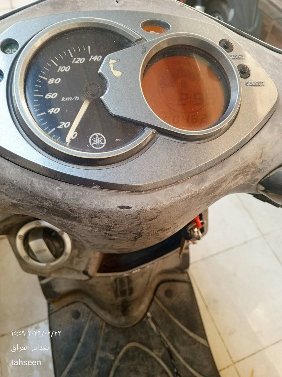 سكنس فحل ياباني قبغ نفغ ستاند حساس دراجه جاهزه مكينه ما مفتوحه دراجه نوزل وليس كابريتر سعر 600


**إذا كنت صاحب هذا الإعلان وتريد حذفه لأي سبب، رجاءا أرسل رسالة إلى الدعم الفني**