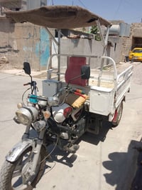 ستوتة • للبيع • السعر