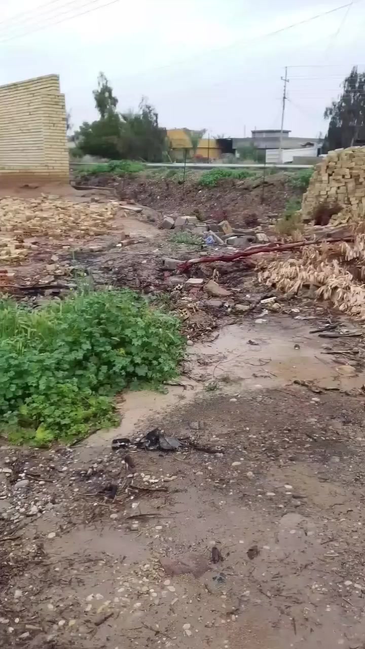 دار زراعيه للبيع بيت كامل وبيت هيكل وقطعه بس بيه بتلو والمساحه الكليه نص دونم وتبعد عن الشارع العام 150متر وتبليط لحد البيت وماي وكهرباء وسحب متوفر في الدار والاتصال على هذا الرقم***********
