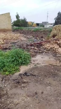 دار زراعيه للبيع بيت كامل وبيت هيكل وقطعه بس بيه بتلو والمساحه الكليه ...