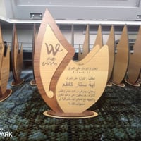 دروع شكر وتقدير • تصميم حسب الطلب • نقش وحفر