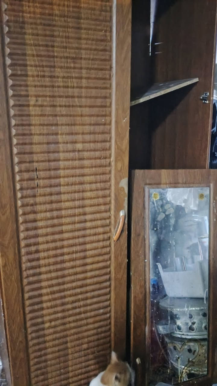 ثلاجه ب٨٠ الف ميز ٢٥ الف وكنتور١٠


**إذا كنت صاحب هذا الإعلان وتريد حذفه لأي سبب، رجاءا أرسل رسالة إلى الدعم الفني**
