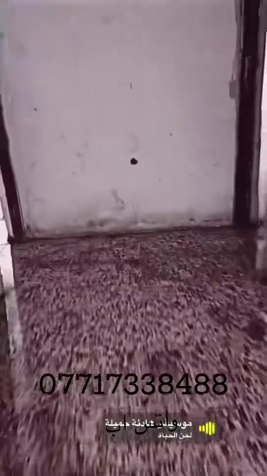 الشقة للإيجار منطقة الزعفرانية /السدة مال الوليد/
مساحتها زينة ..الخدمات 
الكهرباء وطنية تقريبا 12ساعة باليوم 
خط مولد ذهبي /خطين مي بيها +تانكي 1500/مجاري 
الشقة داخل العمارة عمارة طابق اول فقط 
نظام كاميرات خارجي 
الشقة قريبة على الشارع العام 
يوجد بجانبها افران صمون -وكافة المحلات التجارية والمكاتب 
إيجار الشقة 150الف .وما بيها مجال 
للأستفسار التواصل على الرقم واتس اب :***********
