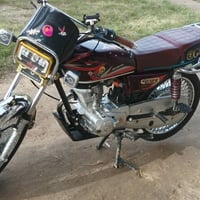 تايكر ام التاج 2025 • مكفولة أوراق • بابل الحمزه الغربي