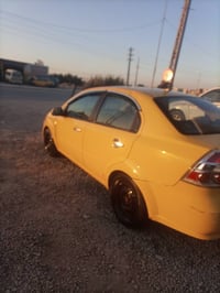 افيو • ٢٠٠٩ • وارد امريكي