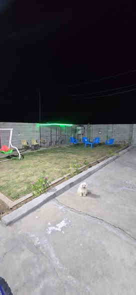 قطعة ارض للبيع 
مساحة ٢٠٠م عرض الشارع ١٥م
رقم القطعة ١٢٨٦٢
الموقع تكريت حي الزهور الخامسه
القطعة مسيجة بالكامله وفي داخلها (حديقة مع غرفة مؤثثه مع اقفاص)
السعر ١٠٥ 
للأستفسار ***********
