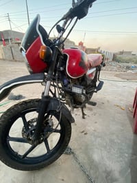 بوكسر جبلي • ٢٠٢٠ • رقم وسنوية