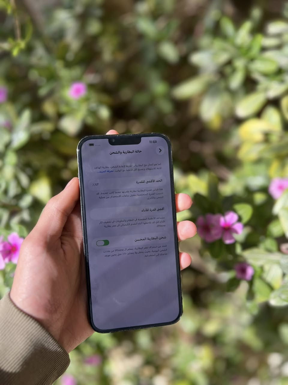ايفون 13 برو ماكس ذاكره 256 بطاريه 83 بلادي مامفتوح ضمان الفحص ونضيف مابي خلل ملحقات ويا شراي براسلني عنواني بعقوبة


**إذا كنت صاحب هذا الإعلان وتريد حذفه لأي سبب، رجاءا أرسل رسالة إلى الدعم الفني**