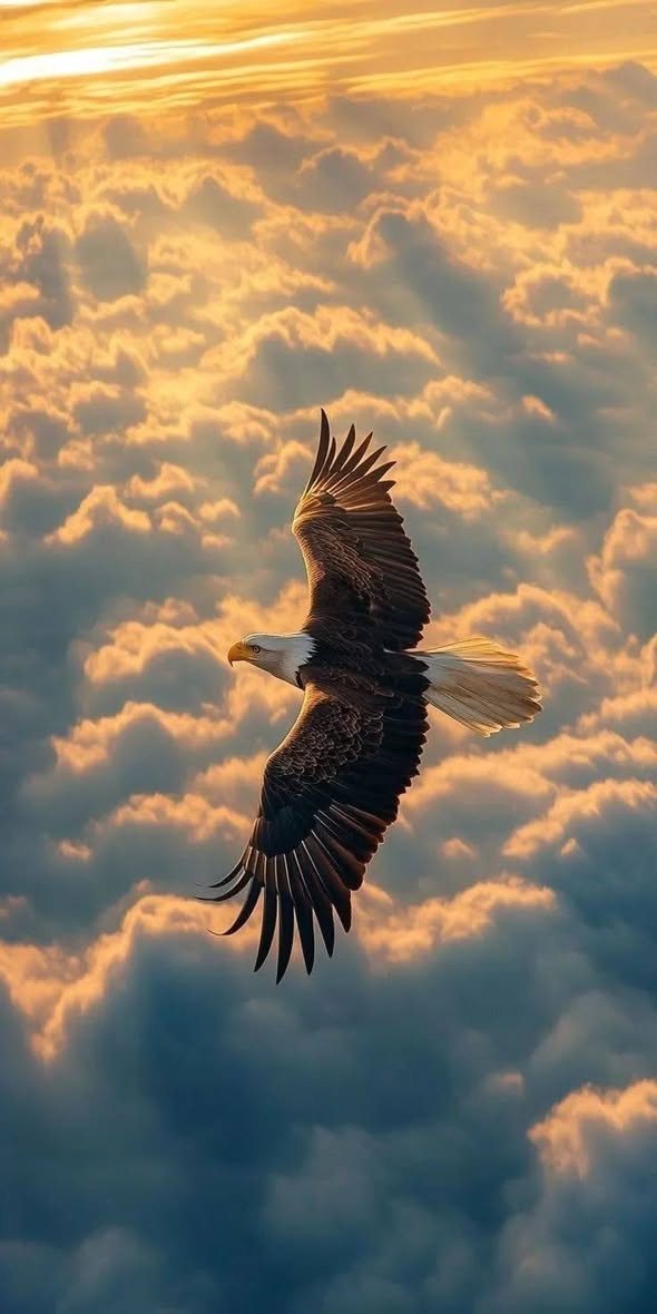 سليماني أحمر


**إذا كنت صاحب هذا الإعلان وتريد حذفه لأي سبب، رجاءا أرسل رسالة إلى الدعم الفني**