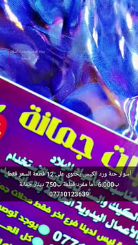 أسوار حنة • ١٢ قطعة • توصيل كل العراق