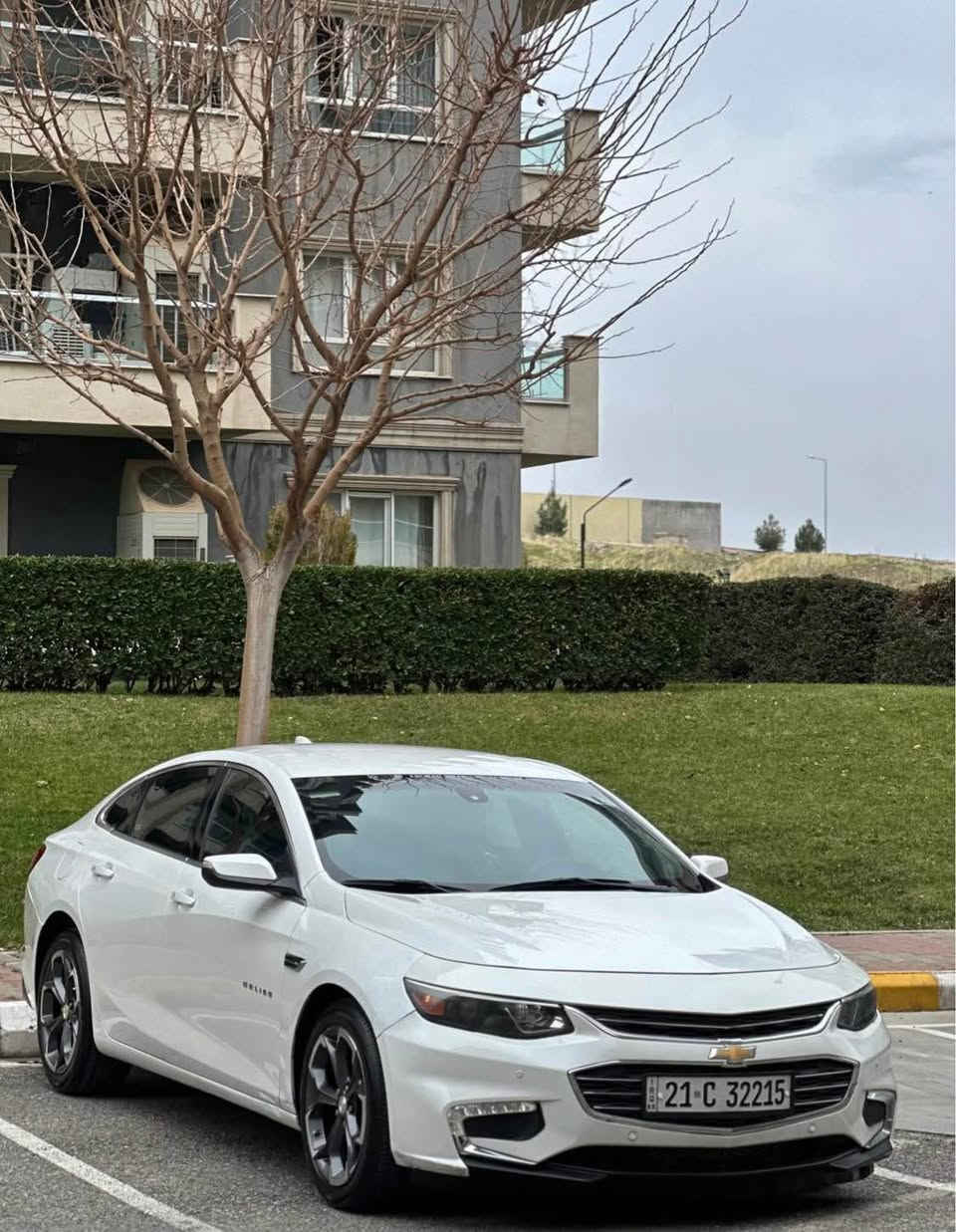 Malibu 2017 LT1
‎شۆفرلێت مالیبۆ ٢٠١٧ 
‎مه‌كینه‌ ١.٥ ی تۆربۆ 
ڕەنگی سپی سەدەفە زۆر جوانە
تایە و ویلی پریمەر وە بەگلایتی دواوەی گۆڕاوە بە لید کە لێرە بوونی نییە لە سینەوە تەڵەب کراوە زۆر جوانە 
گێڕو مەکینە بە شەرت نەکراوە بێ کێشە 
سەنەوی تا ٢٠٢٧ مانگی ١١ تازەیە 
تەنها ٤ پارچەی و تۆزێ شانی دواوەی بۆیاخە بێ مەعجون تەنها لەسەر شوخت پێش و پشتی کەپسە ئێڕباگی نەتەقیوە هەمووی بیلادە 
شاشە گەورە ، کوشن کارەبا ، ٥ بەصمە ، کارپلەی ، لایت زینۆن بیلاد ، ئۆتۆ ئیستۆپ ، کامێرا ، کامل لیدی ناوە بیلاد ، گێر ئۆتۆماتیك و عادی ، زۆر مواسەفاتی تر...
ژمارە مۆبایل : ***********

نرخی تەنها ٩٣ گەڵاو معامەلەیەکی کەم . السليمانية, العراق
