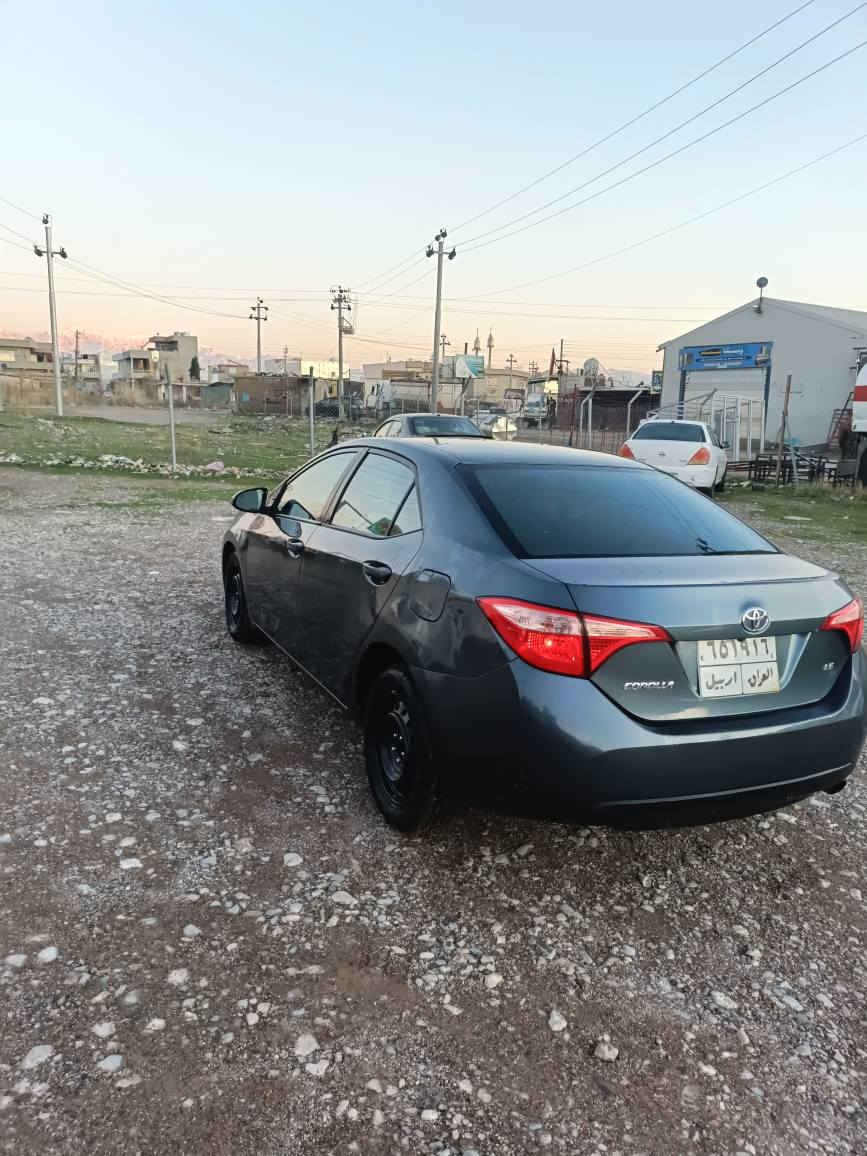 کرۆلامۆدێل2019
LEامریکی
ڕادار شاشە ئای پات 
گێڕو مە کیە نەی بە شەرت
سە نەوی تەواو بوە
سعر133گەڵا
ژم***********
***********
شوێن سیدسادق السليمانية, العراق
