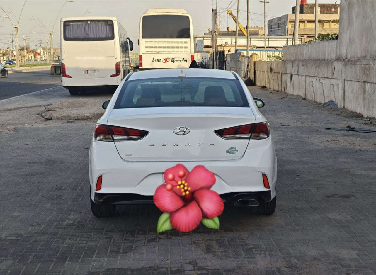 سوناتا للبيع موديل 19 محرك 2400 وارد أمريكي مكاني بصره


**إذا كنت صاحب هذا الإعلان وتريد حذفه لأي سبب، رجاءا أرسل رسالة إلى الدعم الفني**