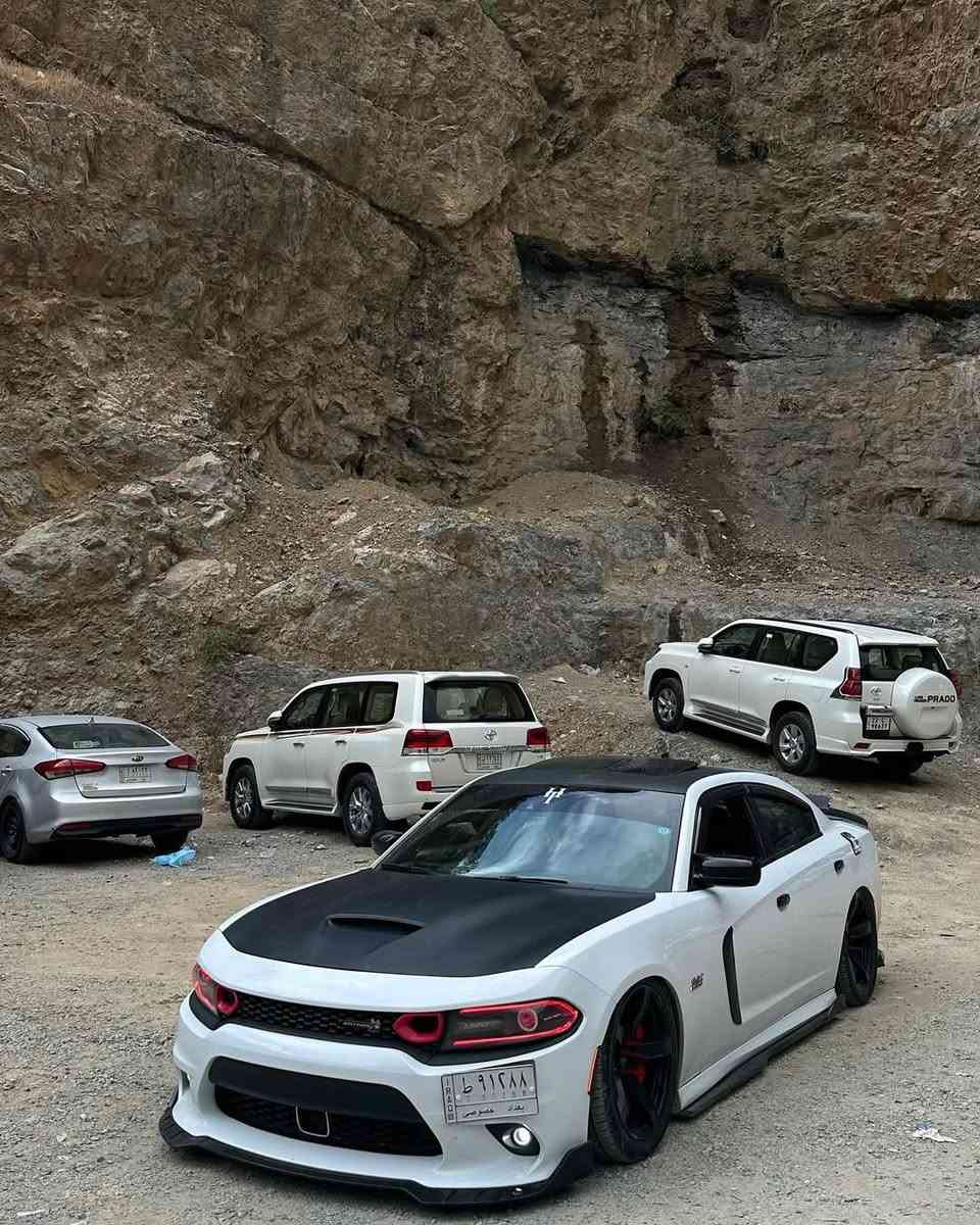 السلام عليكم : سكات باك كفاله حره 17 ماشية 80ml شكو مواصفات بل اس ار تي والسكات بيه فول مواصفات خنك رادار امامي فجوج هيلكات سته بستم تقريرها سرقة دعاميات فقط اكرر بدون صبغ نهائياً بدون معجون لحد يجي يقارنها بلمهجومة لا مستعجل ع البيع ولا شي مترهي كلش سيارتي جديده وكفاله ابيع مرتاح مكانها ديالى بعقوبة
الأضافات : 
دركة RBM الياف حقيقة 
جكات s3 كات باك زيدون 
شوته مفتوحة 
اناره متغيره داخليه 
وهواي ملاعيب بيه بعد 

التواصل على الخط فقط : ***********

السعر 295
