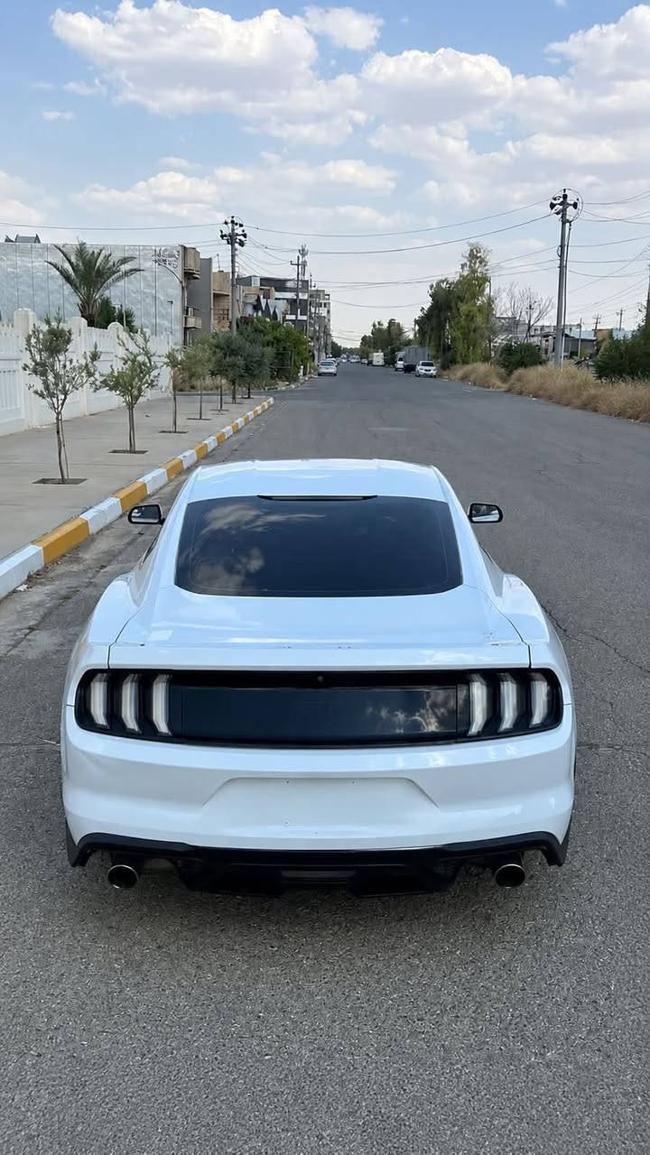 سلام عليكم
للبيع موستنك ٢٠١٦ ٦سلندر فول مواصفات 
عليها شاشة سينك ٣ وكاربلاي شغال كلة 
كيج بريميوم مال٢٠٢٠ الوان دواخل كاربون فايبر اصلي
كشن كهربائي
عليها بكلايت ابيض مال٢٠٢٠ 
ويالة ماك ون وتايرات جديدة
مشبك جيتي اصلي ولحية سرفيني
والسيارة كاملة من كلشي مسويلها سيرفس كامل 
ورقم وسنوية وهزة كلة جديد وباسمي 
السيارة بيها قطعتين ونص صبغ  ومكانين صغار تعديل بارد ايرباك ستيرن وتكم 
سعر147 وبيها شوية مجال
مكاني اربيل  
***********
***********
