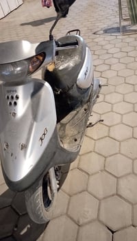 منغولي • بطه • ١٩٠