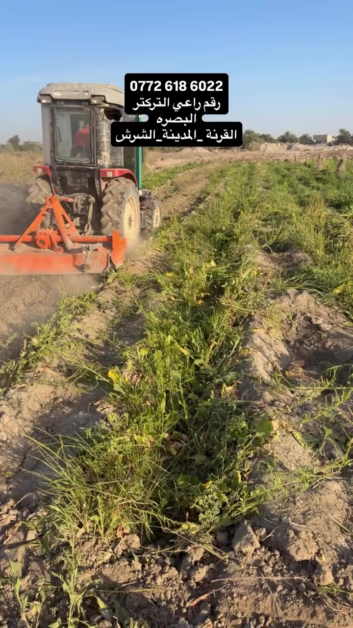 #القرنه #المدينة #الشرش #البصره


**إذا كنت صاحب هذا الإعلان وتريد حذفه لأي سبب، رجاءا أرسل رسالة إلى الدعم الفني**