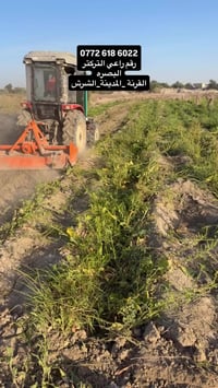 القرنه • الشرش • البصره