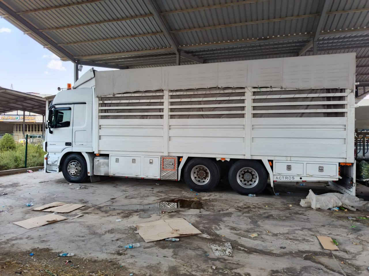 سلام عليكم اكتروز لبيع مديل 2010 فول موصفات
كامره حساس لوتايدر 5 طكات ثلاجه دبل مناميه سبلت فوك القماره عرجه 12 نمره هورنات بلادي كاسحه كهربائيات كله بالوني وزعانف بدي قفص شرط مابي اي فطر ولا كك دبل تاير رقم اربيل بسمي شرط التحويل ***********
السياره كفاله عامه  مكان السياره النجف الاشرف المو شراي لا يتصل رجائن
