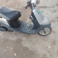 بطة • خطين • نضيفه