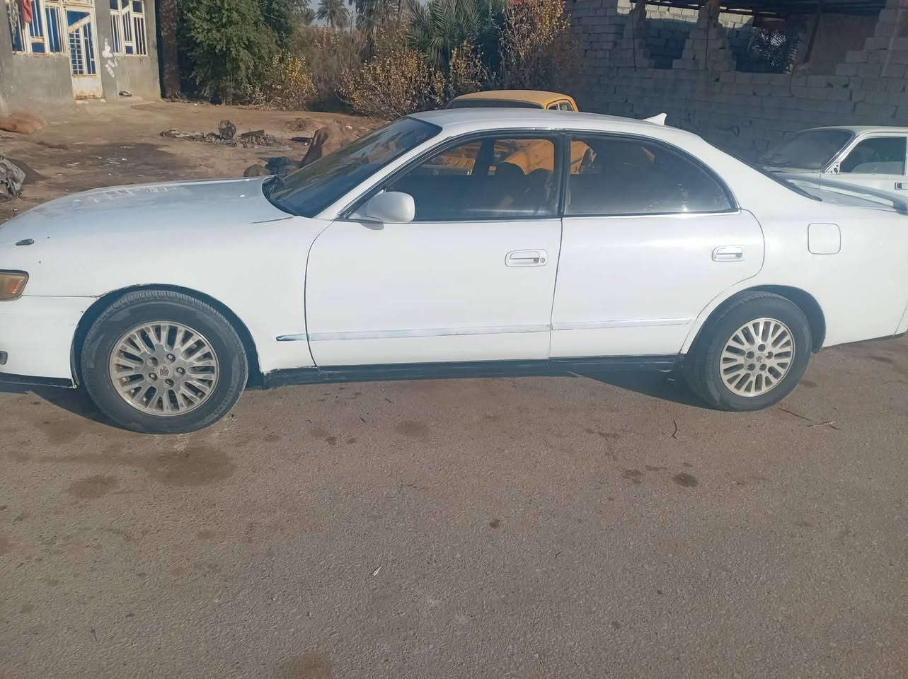 السلام عليكم شيزر نفق للبيع رقم صلاح الدين تحويل ثاني يوم ماكينه ونجي السعر 40 رقم الهاتف***********
