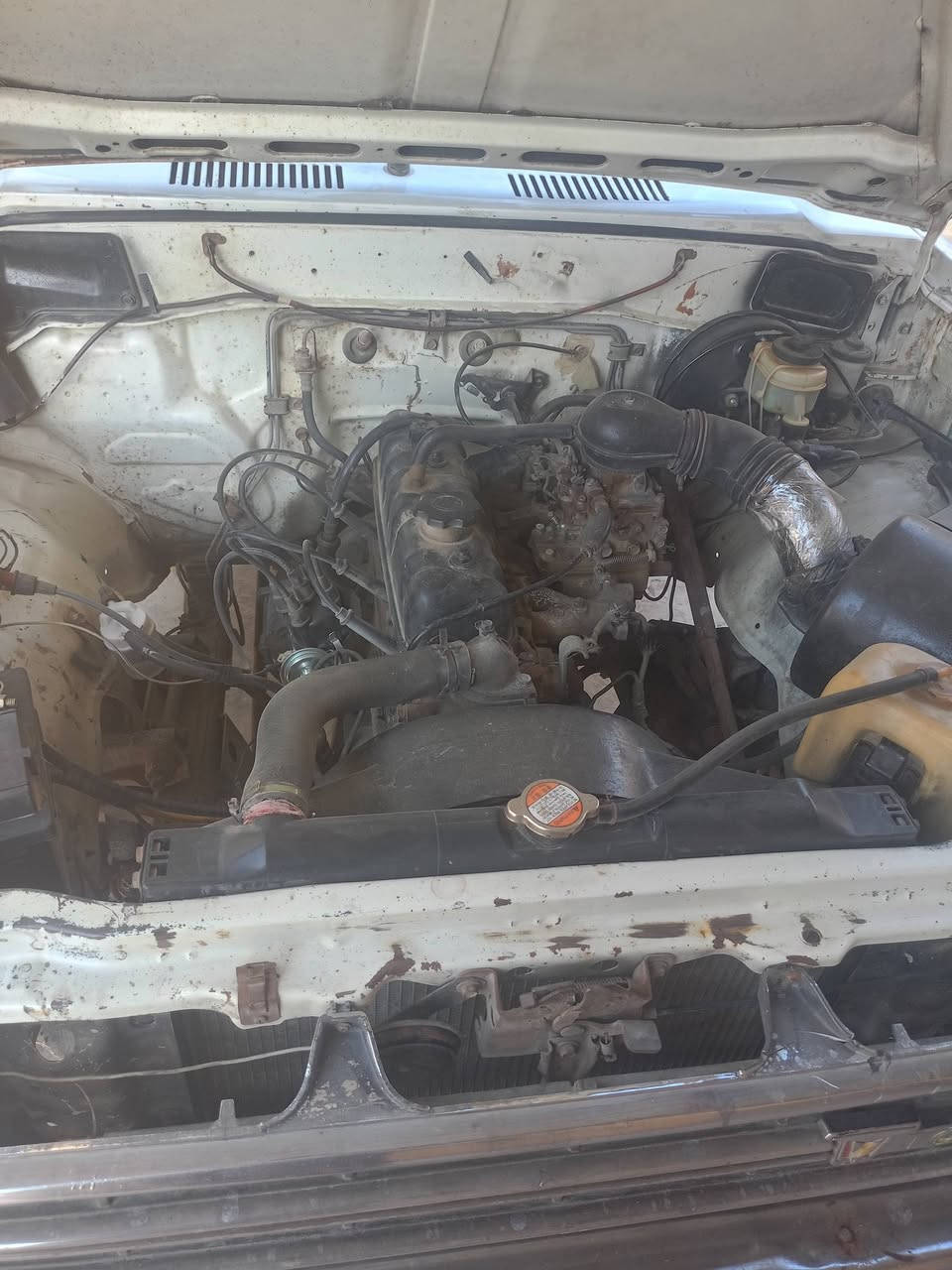 السلام عليكم بكم للبيع ***********
