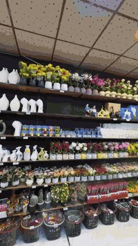 خدمة التوصيل واتس*********** // موقعنا حلة-نادر الثانية - قرب معمل النسيج // #تسوق #تخفيضات #مسواكم_بانسب_الاسعار_داخل_فاملي_مول #فاملي_مول_اختيارك_الصح
