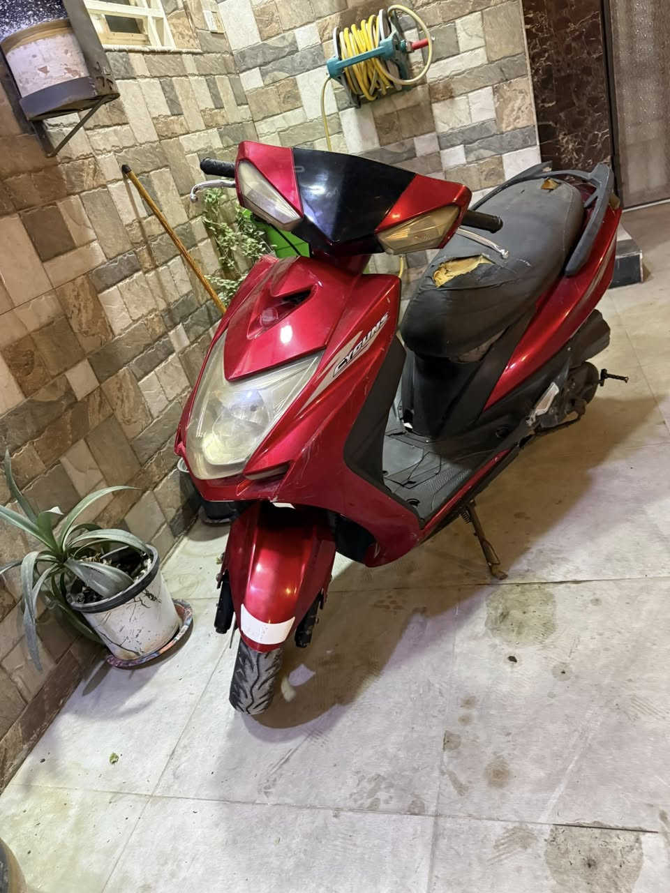 دراجه سكنس للبيع السعر 350  المكان كربلاء ‭0772 492 0582‬
