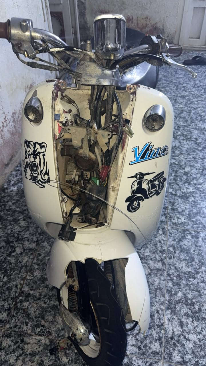 سلام عليكم شباب مصريه فحل البيع   مكاني ناصريه حي شهداء ***********
