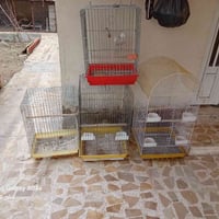 اقفاص ببغاء • بعقوبة العزات • ديالى