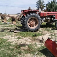 عنتر • عنتر 90 • عنتر للبيع • بدون رقم • فدان • خرماشه حداديه • تخم تا...