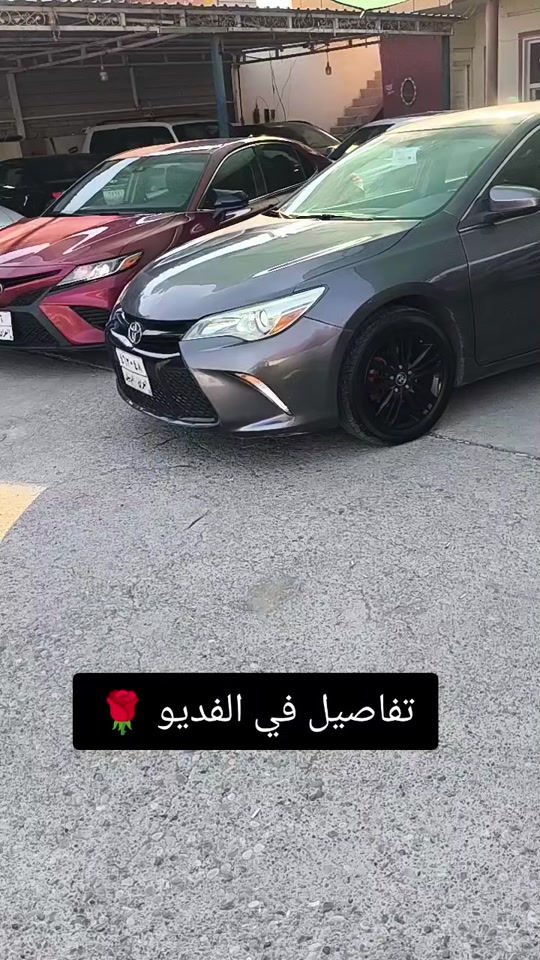#***********  #***********  #اربيل #العراق #العراق🇮🇶 
