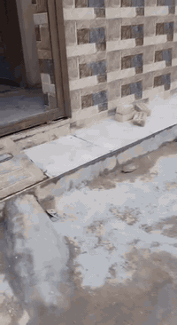 البوبيات • ١٠٠م • ارضى جار العباس