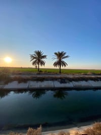 شاطيه للبيع   3 دونم عقد 35  07810370845