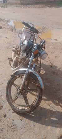 ماطور • ٢٠٢٠ • نشاط فول