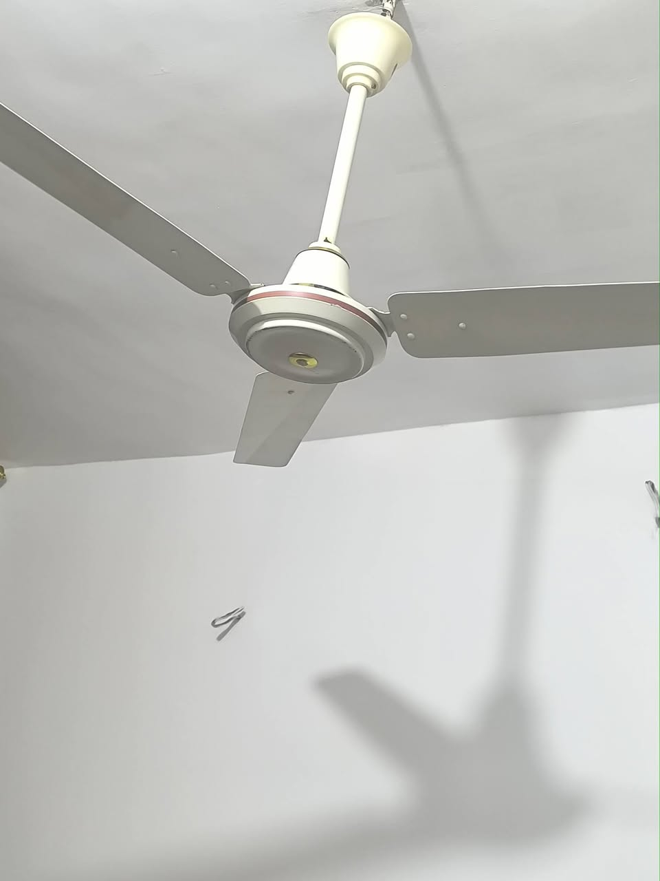 مروحه لبیع سعر نیناتهم 35 نظیف نیناتهم مابی ای عیب ***********
