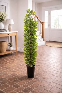 توصيل مجاني • ديكور وحديقة