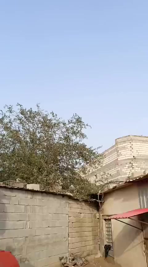 السلام عليكم فراشه حربيه محرك ماكس مفتوح ولفات فقط ناعمه دراجه تعمير نص ضفيره تايرات جدد شلعه ومعدل قطره دهن وكلج خلفي رياضي كزوز رياضي سعر 325 وبيه مجال قليل مكان لبصره زبير رقم *********** رجائآ مو شراي لا تعبني
