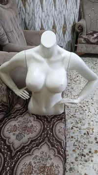 ملكانات • العدد ٥ • سعر مناسب