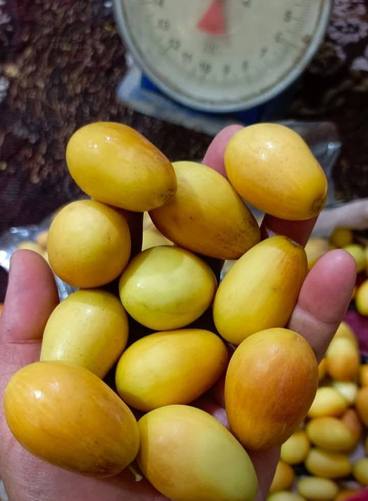 الي يريد اقلام نبك عرموطي بدون نوه راقي جدا جدا يراسلني واتساب ويدلل تجيك سياره للبيت وتسلم اقلامك  وتوكل ع الله 
***********
واتساب مراسله فقط
