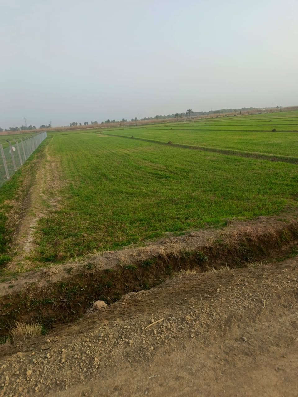 دوانم عدد 3للبيع يصلحن مزرعه 

العنوان الرمادي زنكور مقابل مزرعه الشيخ احسان 

طابو زراعي سند 25تنازل مباشر 

وجه 77متر 

نزال 105متر 

الاتصال
***********
***********
او زيارة مكتب الضياء للعقار والبناء في الرمادي شارع 40 قرب جامع الواثق
