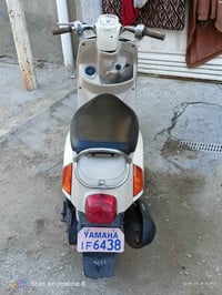 بوليسي • كفالة عام • معرض