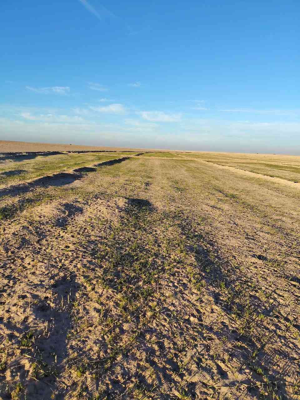 السلام عليكم كاع للبيع 250 دونم بل كصير ***********
